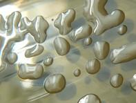 soil bacteria soil bacteria